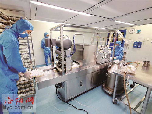 洛陽惠中生物技術(shù) 以高端疫苗研發(fā)助力畜牧業(yè)健康可持續(xù)發(fā)展