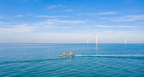 中國海上風電再次領先 40層樓高風力發電機，一臺轉動創造4億元陸路國際貨運業務