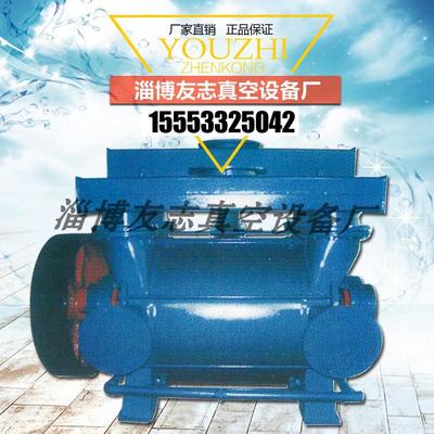 淄博友志2BEC系列水環(huán)真空泵 廠家直銷(xiāo)與高端定制的工藝標(biāo)桿